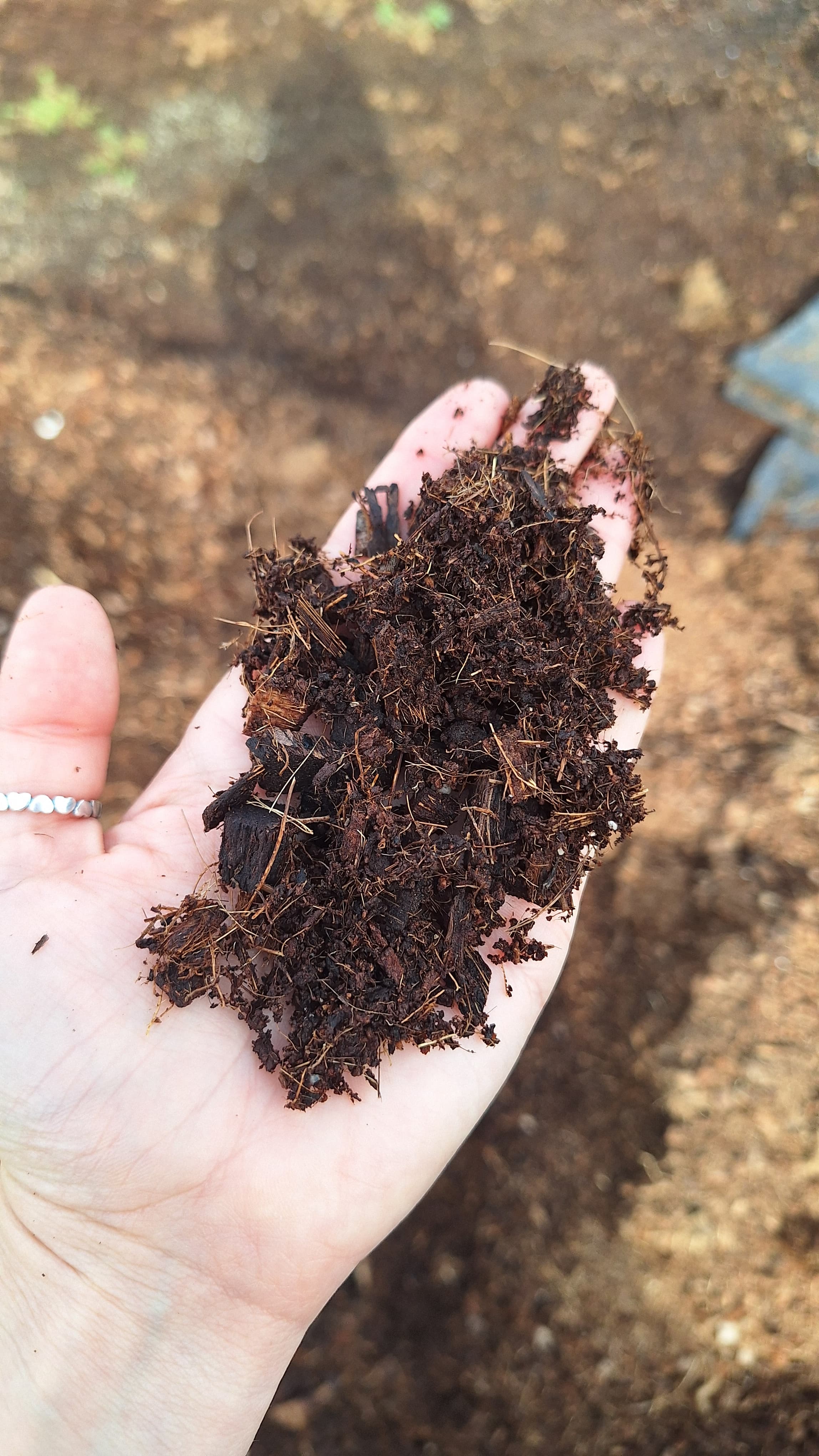 Corteza pino compostada 100L